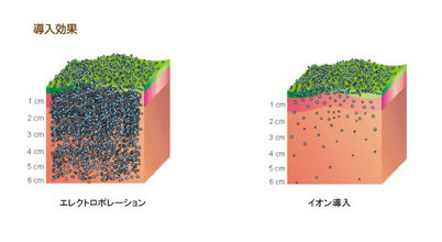 育毛に有効な成分をいかに頭皮に吸収させるか