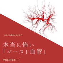 【薄毛　血流】本当に怖い『ゴースト血管とは』