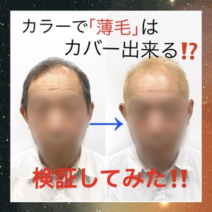 【薄毛　カラー】検証！ハイトーンカラーで薄毛はカバー出来る！？