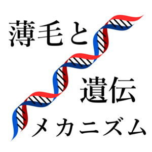 【薄毛　遺伝】早期発見で進行を抑えよう！