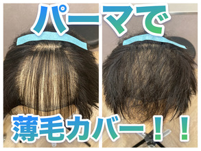 【薄毛カバー　パーマ】検証！薄毛のカバーにパーマがおすすめな理由とは？