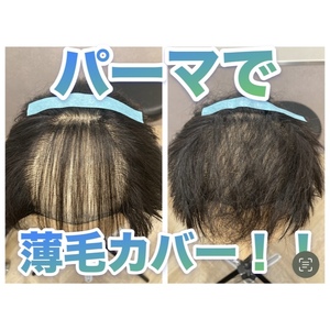 【薄毛カバー　パーマ】検証！薄毛のカバーにパーマがおすすめな理由とは？