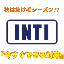 【薄毛 今すぐできる対策】秋は抜け毛シーズン？