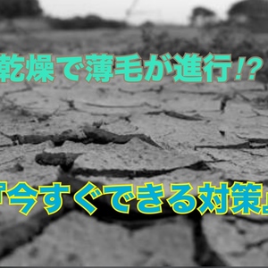 【薄毛 頭皮ケア】乾燥で薄毛が進行？