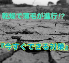【薄毛 頭皮ケア】乾燥で薄毛が進行？